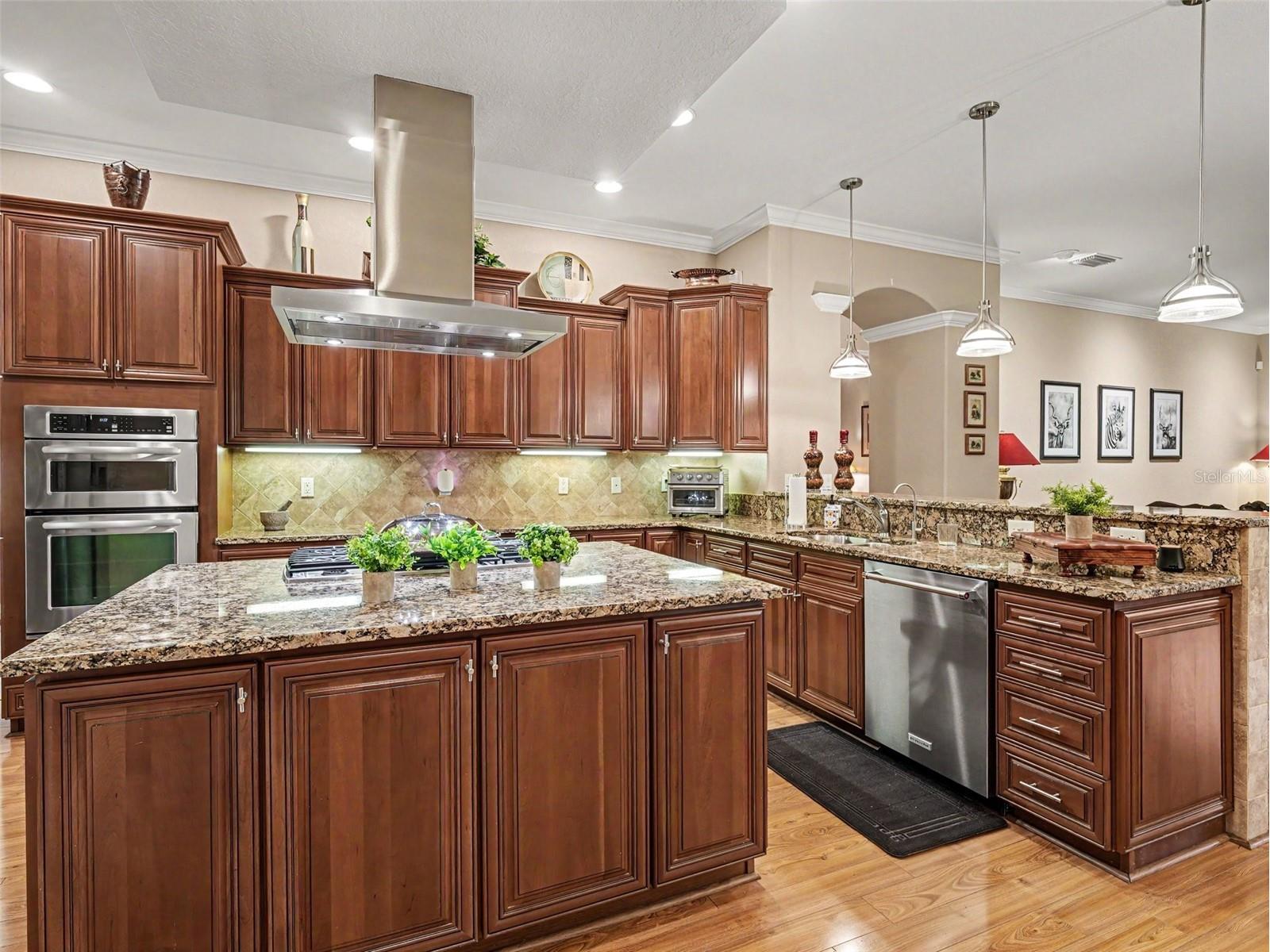 339 Corbett Road Lithia FL 33547 TB8511031 image10