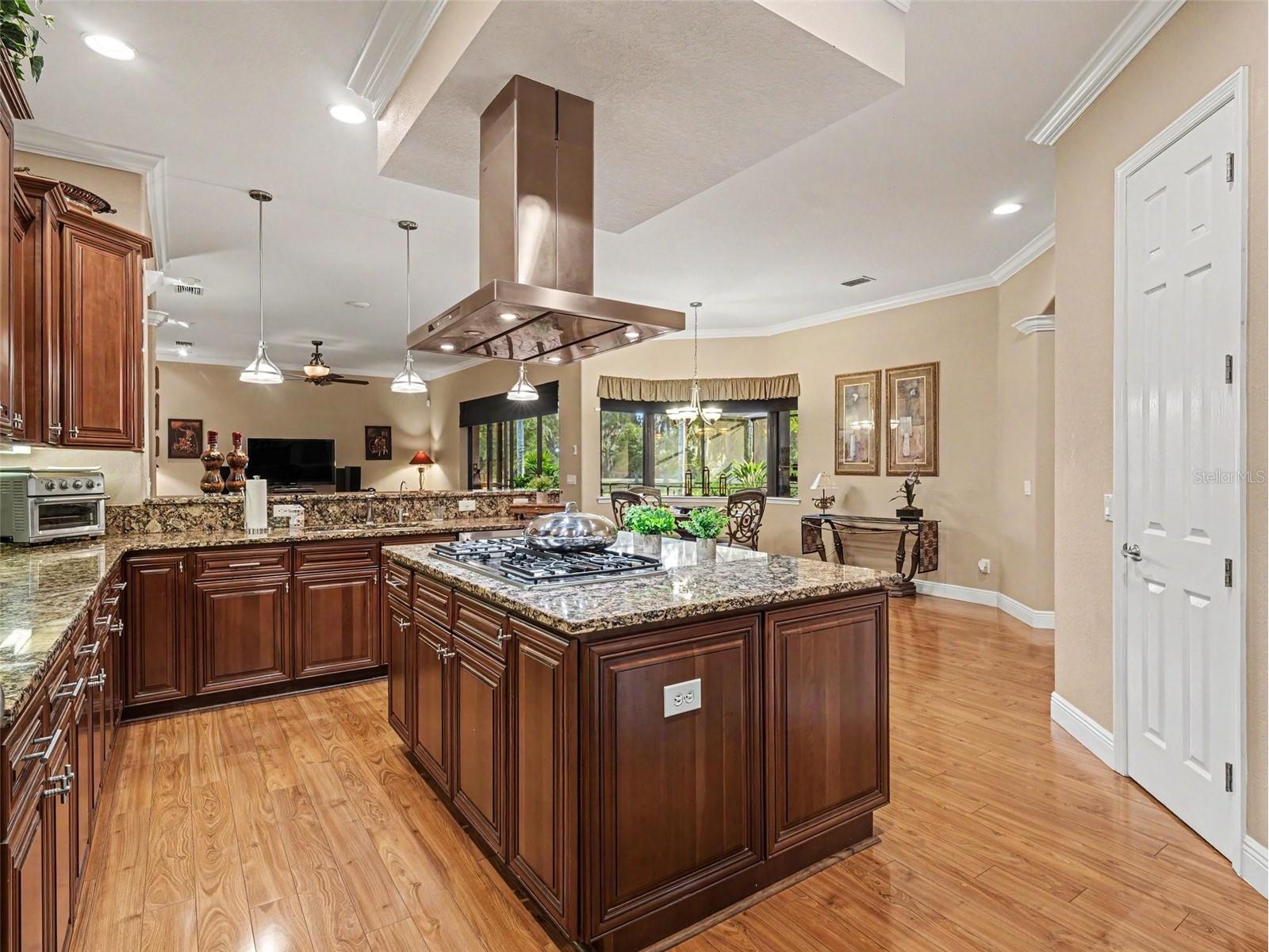 339 Corbett Road Lithia FL 33547 TB8511031 image12