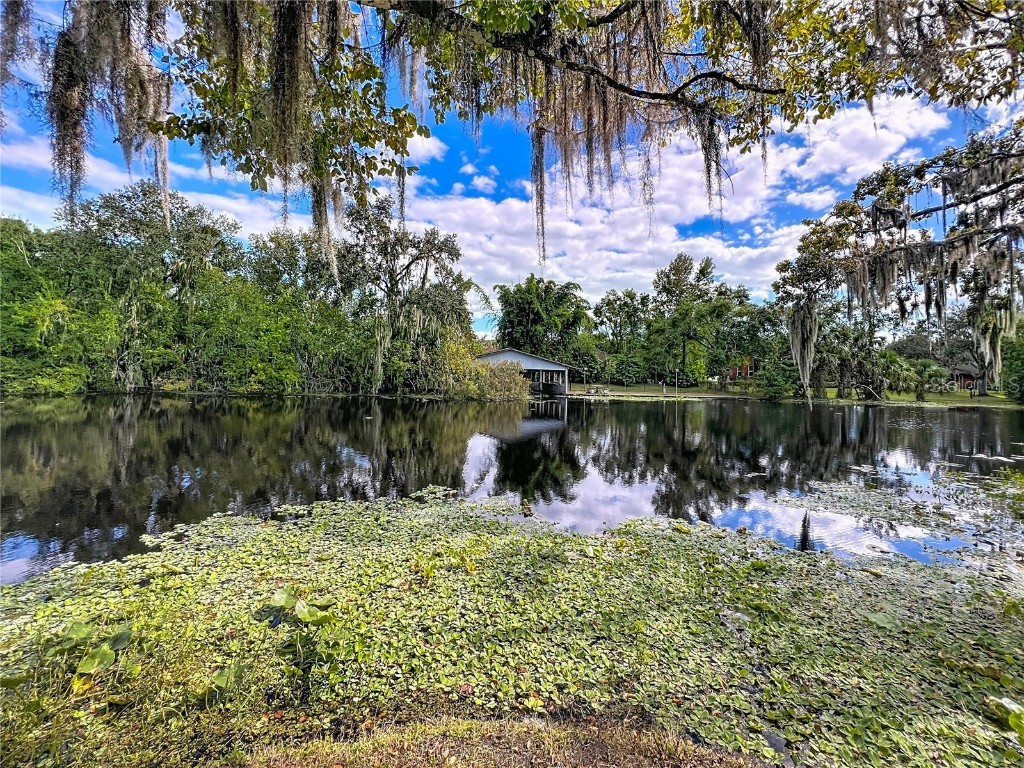 339 Fishing Lane Deland FL 32720 - DAISY LAKE AND HIGHLAND PARK RUN O6354742 image42