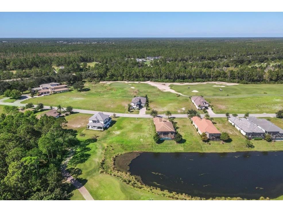 339 Hibiscus Way Palm Coast FL 32137 FC313408 image10