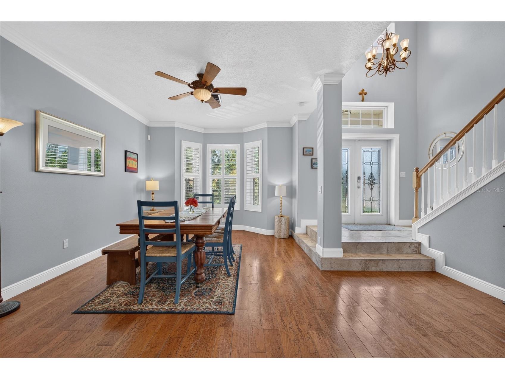 339 Manatee Lane Tarpon Springs FL 34689 TB8525883 image11