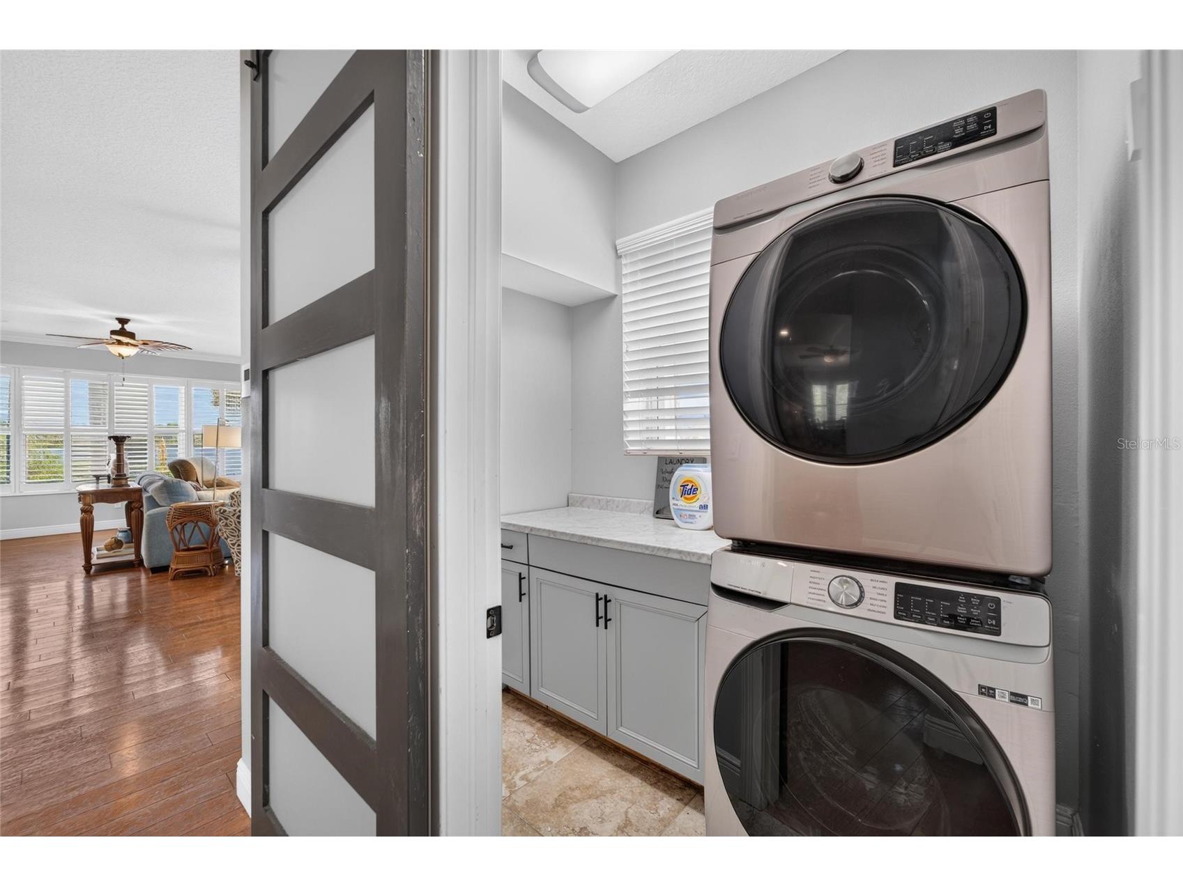 339 Manatee Lane Tarpon Springs FL 34689 TB8525883 image34