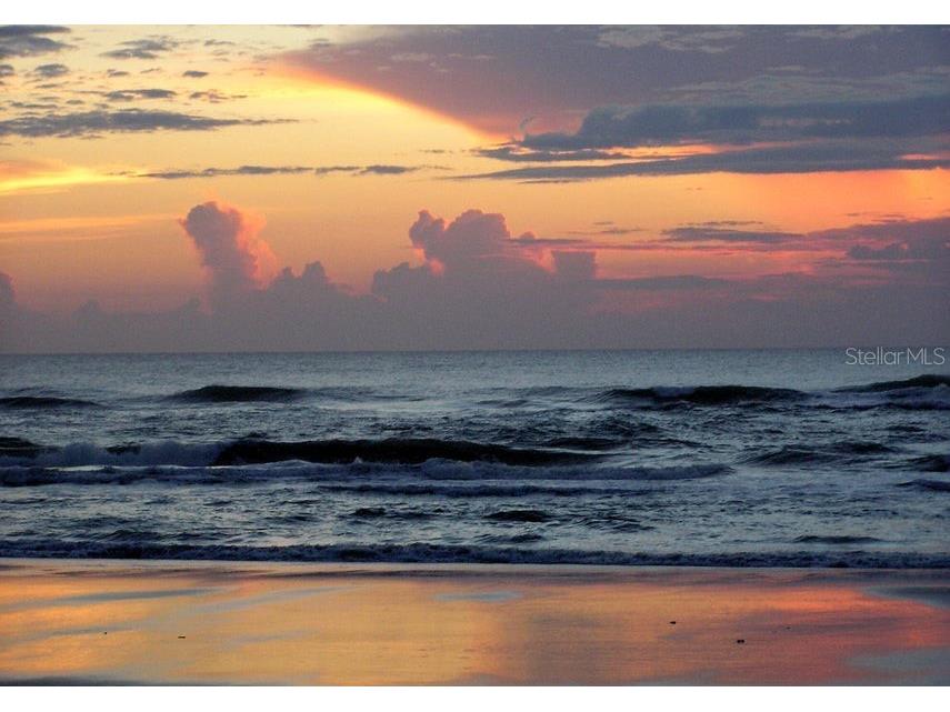 339 Manhattan Avenue Daytona Beach FL 32118 V4948813 image19