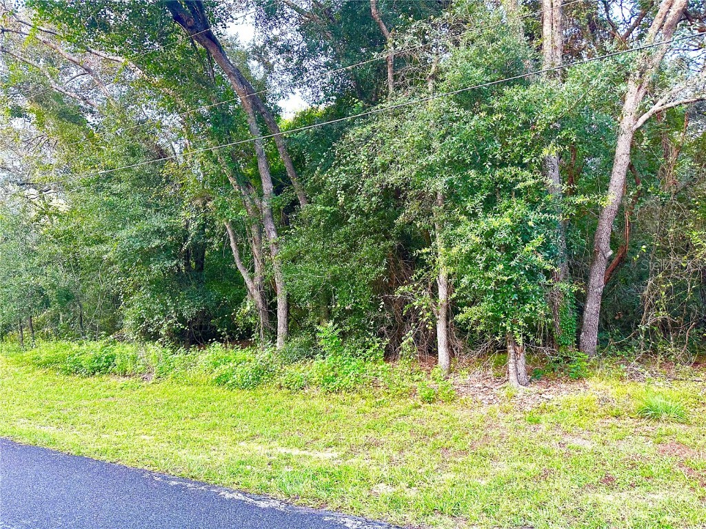 339 N Indianapolis Avenue Hernando FL 34442 T3466667 image1