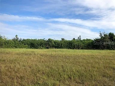 339 NE 19th Terrace Cape Coral FL 33909 O6304655 image1