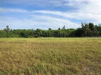 339 NE 19th Terrace Cape Coral FL 33909 O6304655 image5