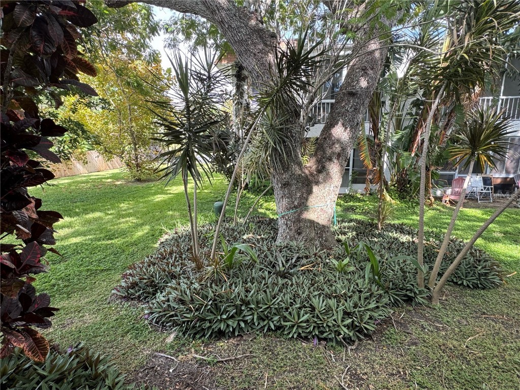 339 S Mcmullen Booth Road #153 Clearwater FL 33759 TB8415056 image18