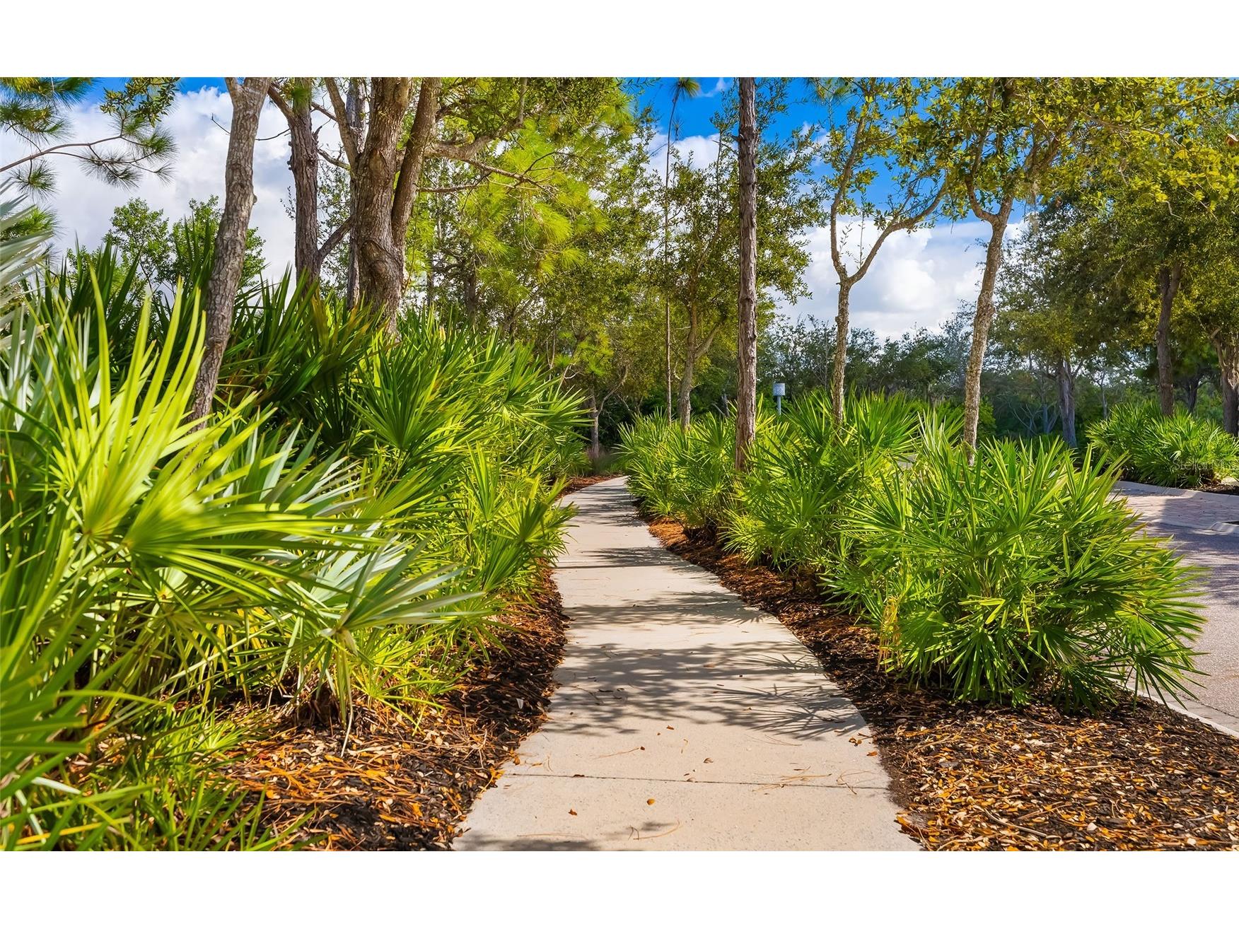 339 Sapphire Lake Drive #101 Bradenton FL 34209 - ANNA MARIA SOUNDSAPPHIRE LAKE A4668716 image45