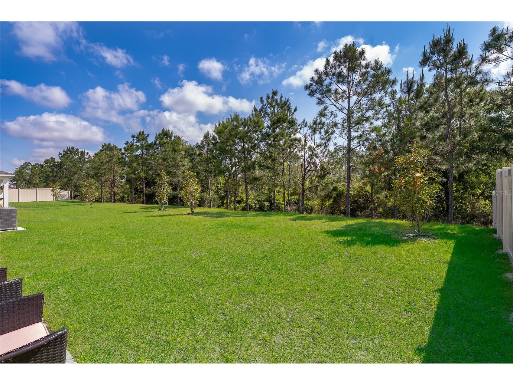3390 Sanctuary Drive Clermont FL 34714 S5148355 image22
