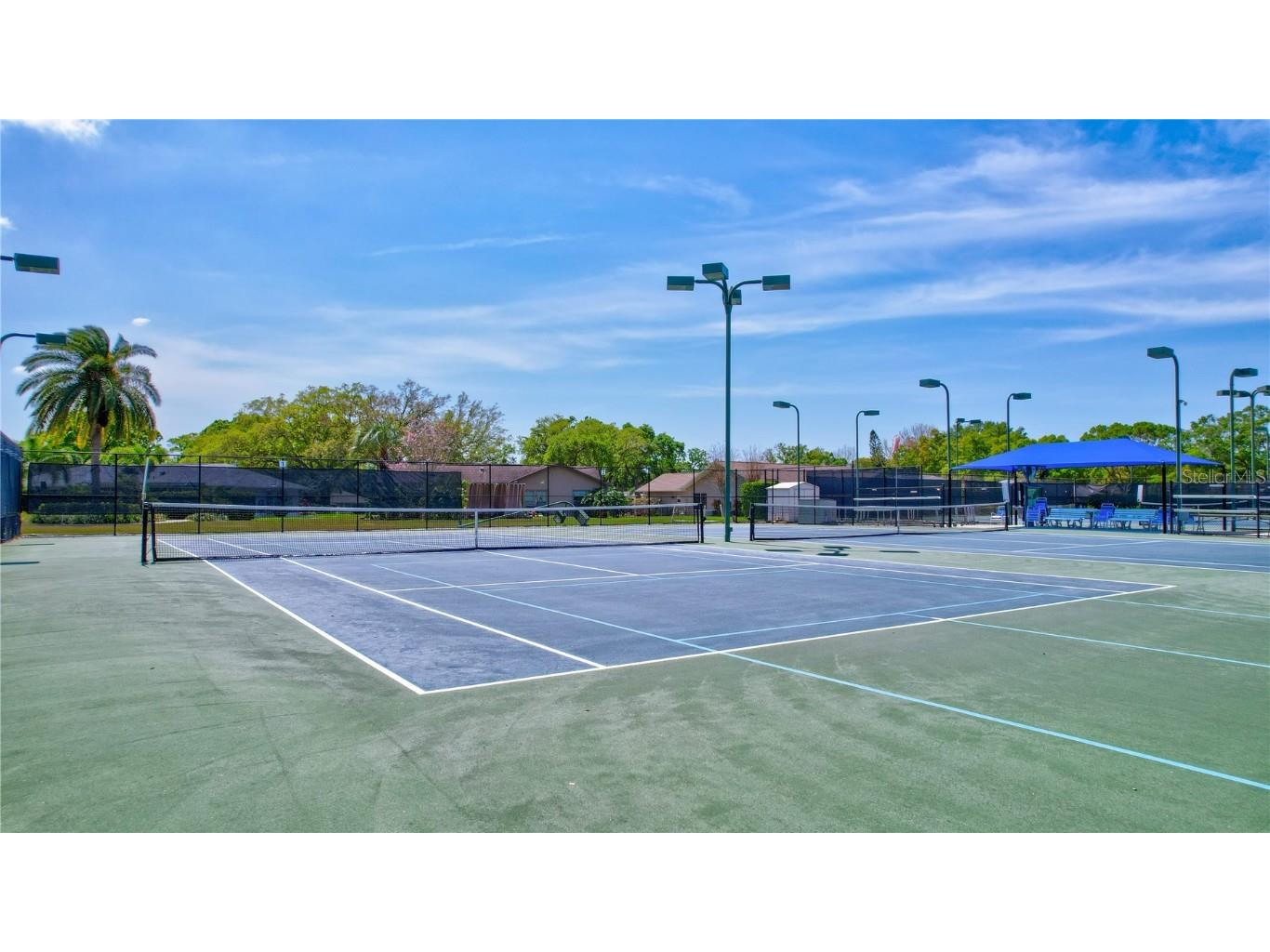 3390 Stonehaven Court W #A Palm Harbor FL 34684 - LAKE TARPON TB8451500 image45