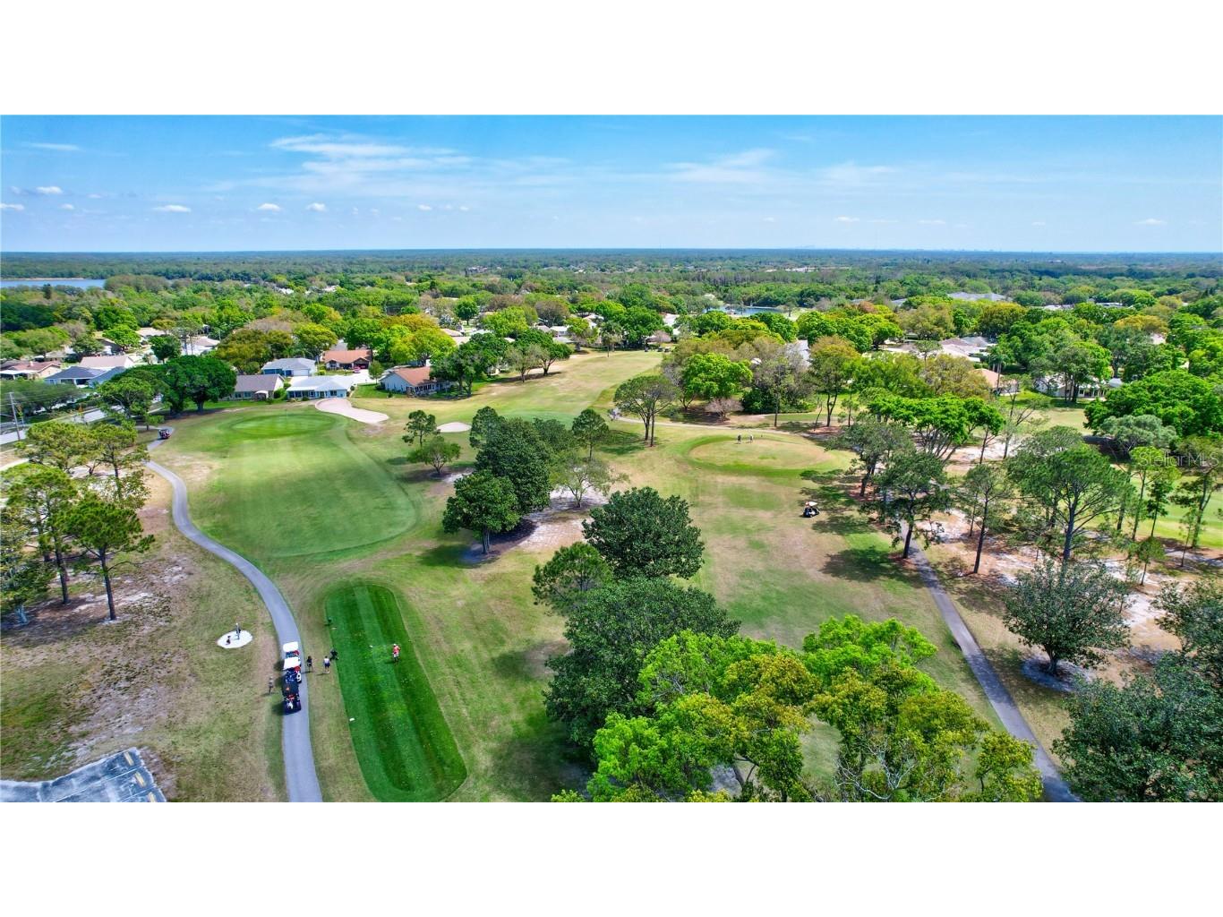3390 Stonehaven Court W #A Palm Harbor FL 34684 - LAKE TARPON TB8451500 image47
