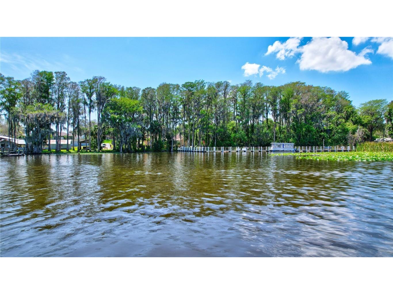 3390 Stonehaven Court W #A Palm Harbor FL 34684 - LAKE TARPON TB8451500 image60