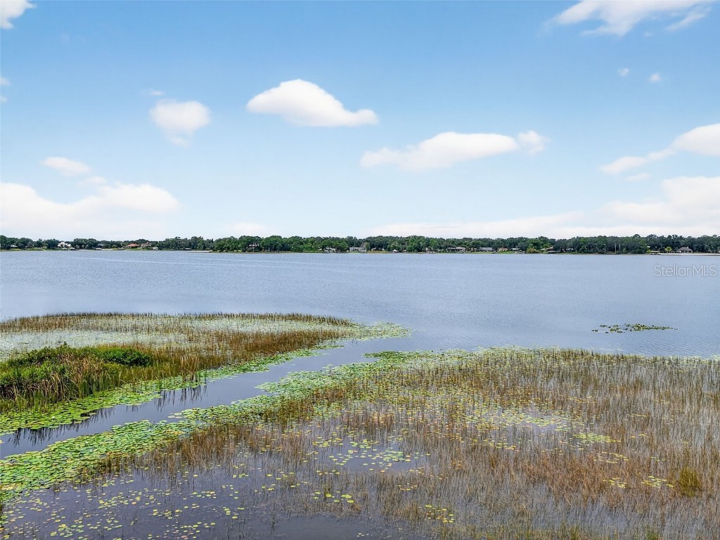 33901 E Lake Joanna Drive Eustis FL 32736 G5101976 image8