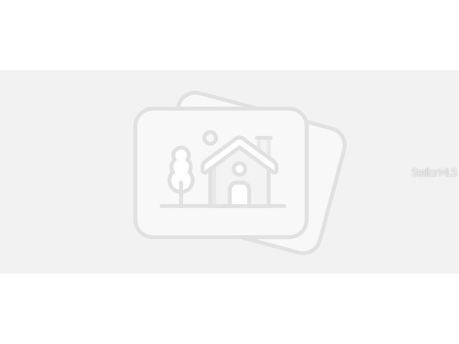 33908 Field Maple Loop Wesley Chapel FL 33545 J979115 image1