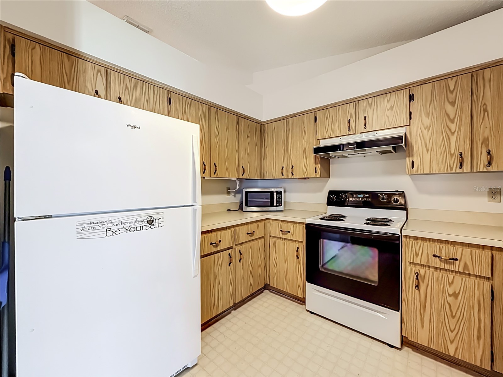 33909 Linda Lane Leesburg FL 34788 G5115057 image29