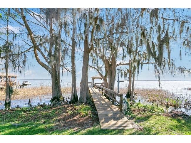 33910 Linda Lane Leesburg FL 34788 - LAKE EUSTIS O6383465 image31