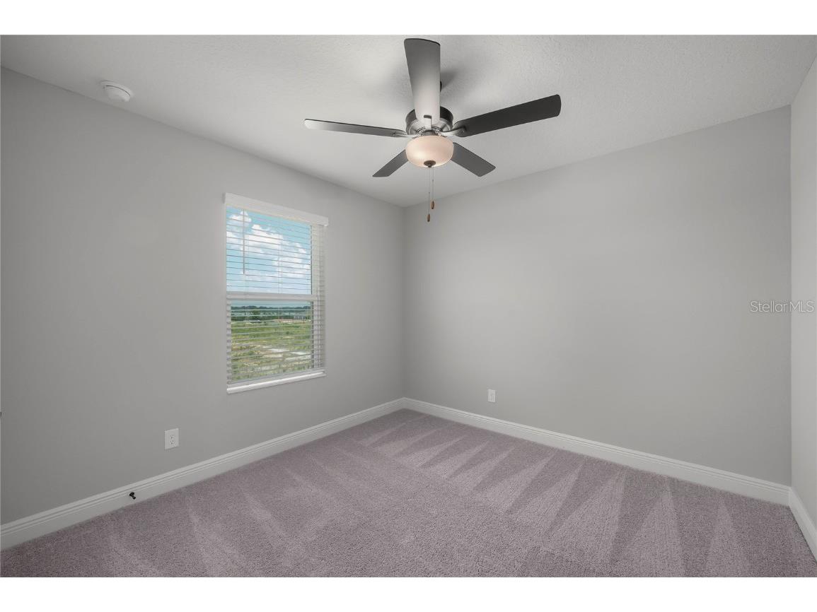 3392 Chinotto Drive Lake Alfred FL 33850 - GUM LAKE TB8448339 image28