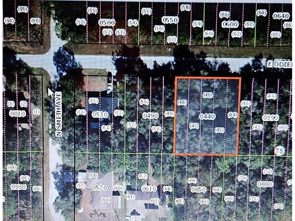3392 E Odier Street Inverness FL 34453 OM699818 image1