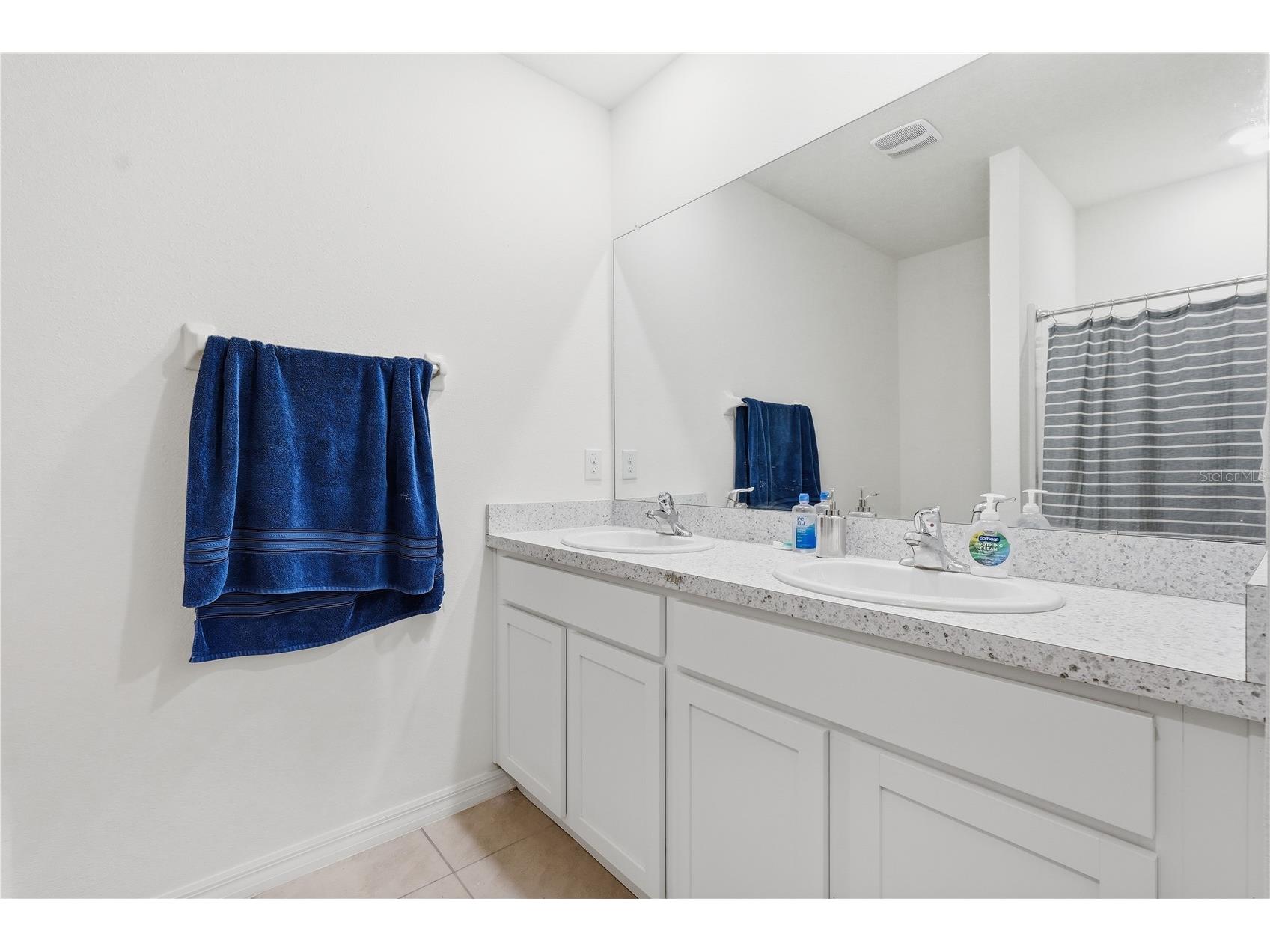 33922 Jasper Stone Drive Wesley Chapel FL 33543 TB8491006 image10