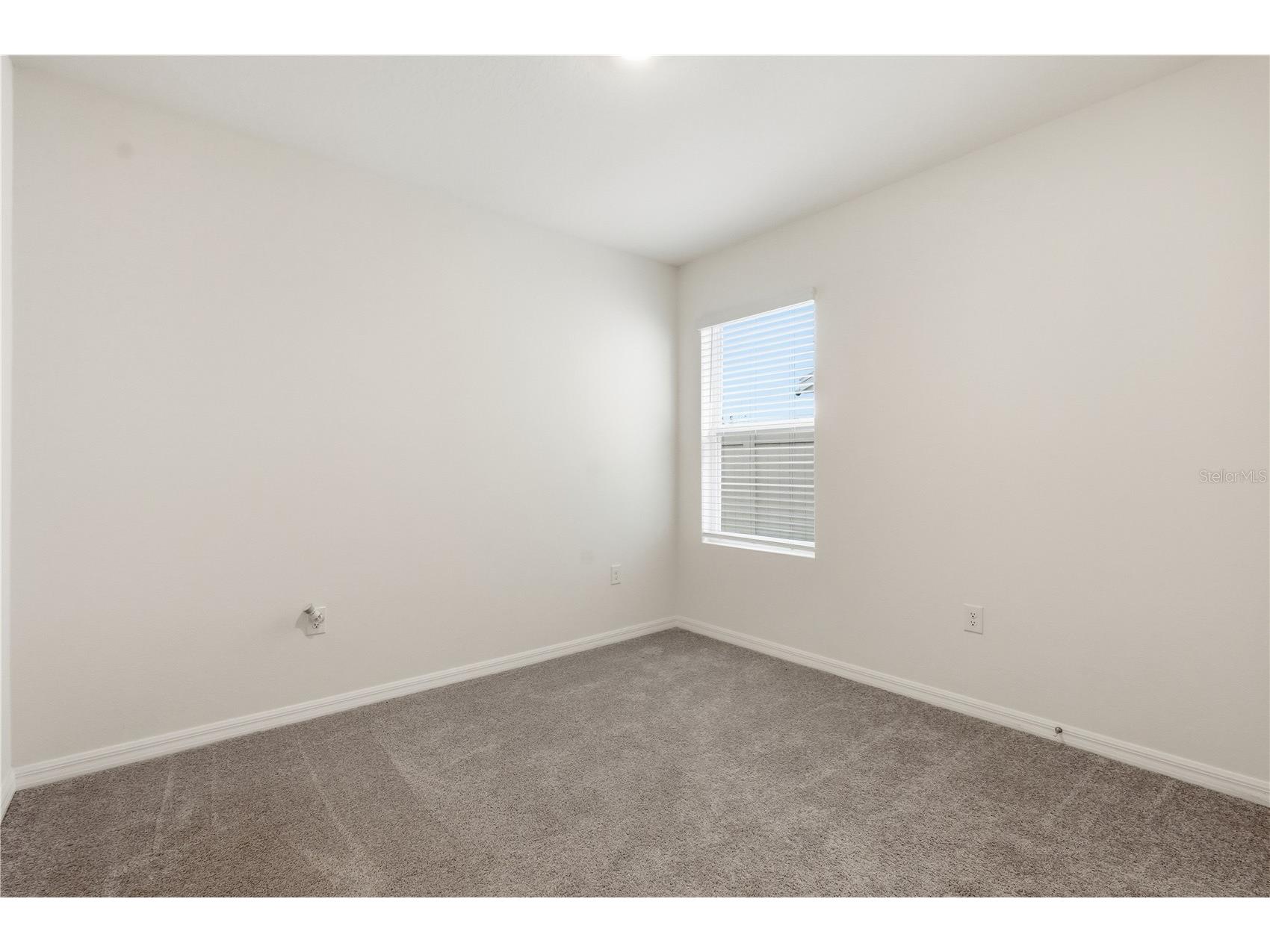 33922 Jasper Stone Drive Wesley Chapel FL 33543 TB8491006 image17