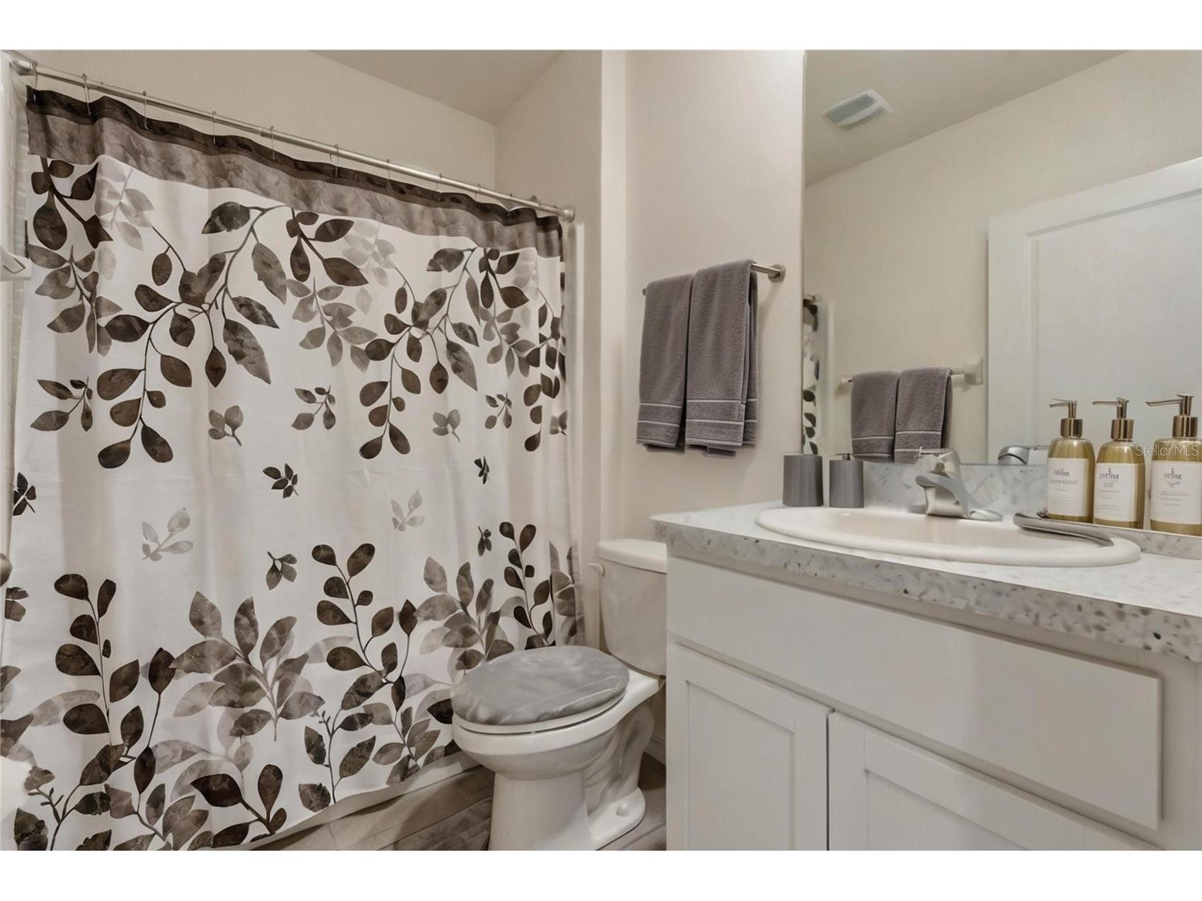 33922 Jasper Stone Drive Wesley Chapel FL 33543 TB8491006 image19
