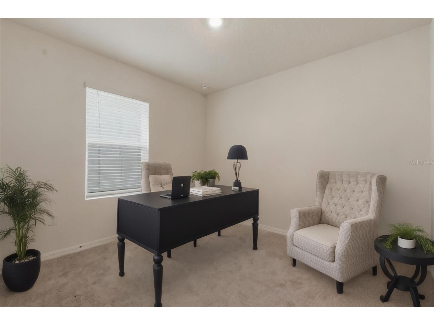 33922 Jasper Stone Drive Wesley Chapel FL 33543 TB8491006 image21