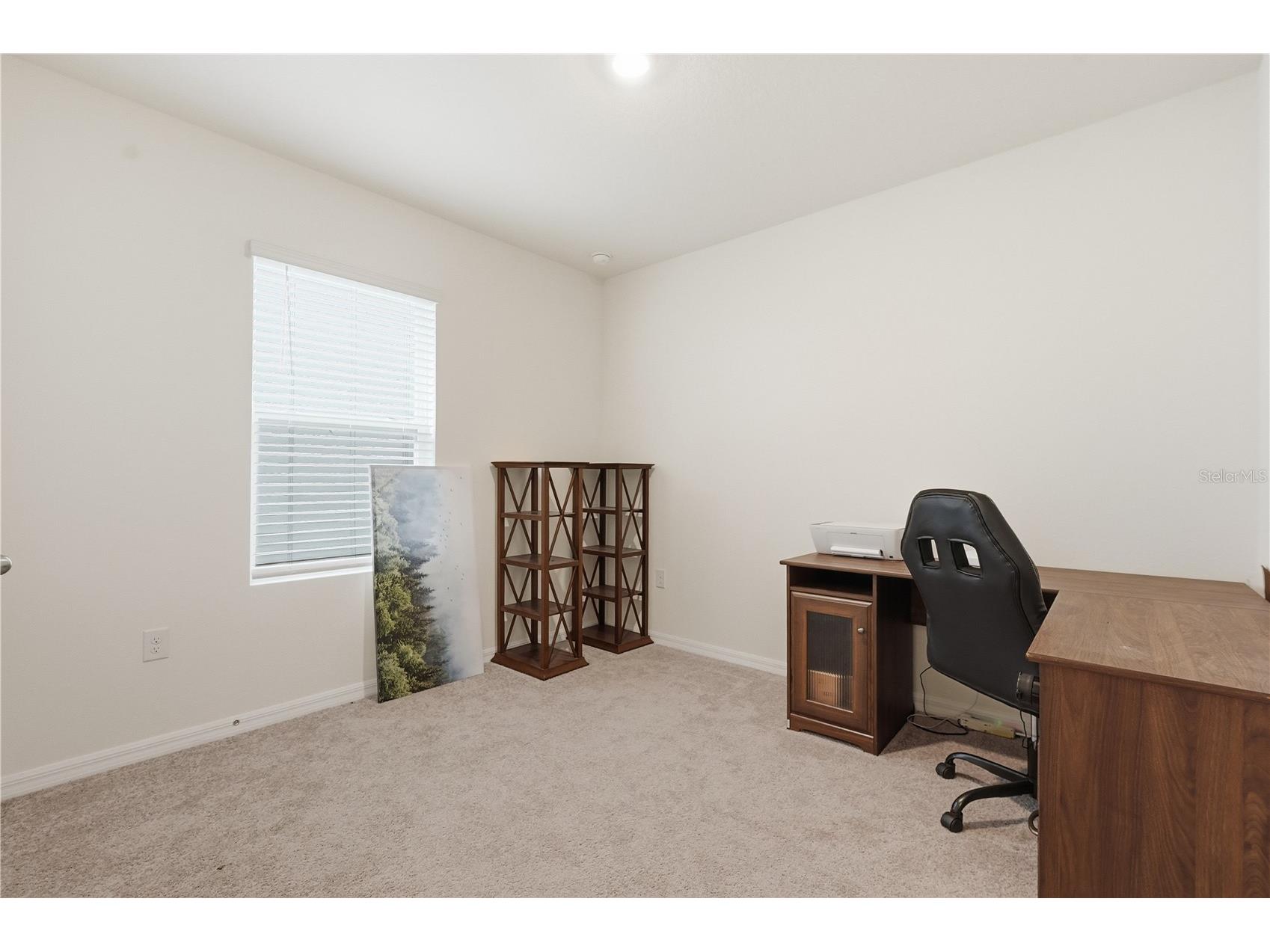 33922 Jasper Stone Drive Wesley Chapel FL 33543 TB8491006 image22