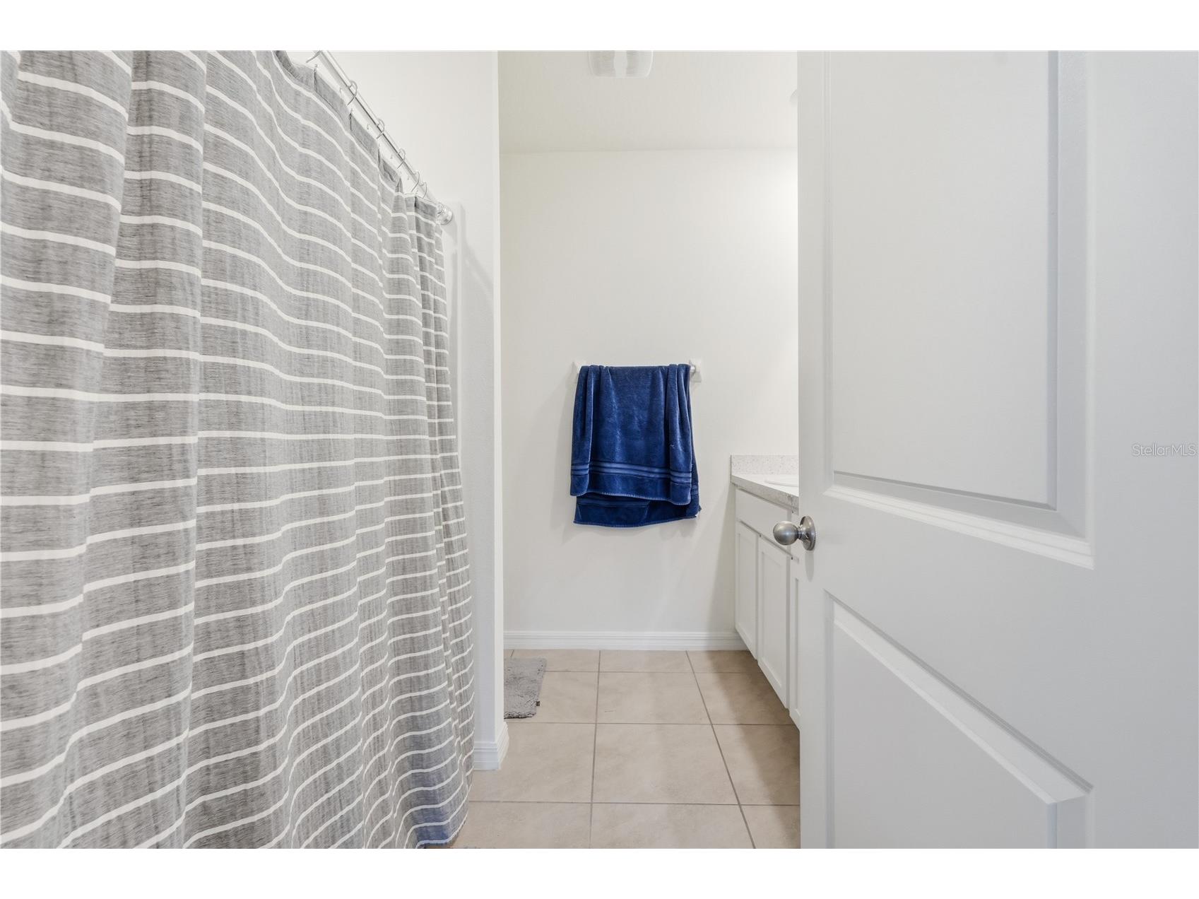 33922 Jasper Stone Drive Wesley Chapel FL 33543 TB8491006 image9