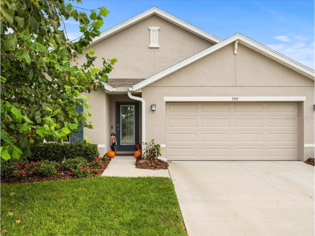 3393 Autumn Amber Drive Spring Hill FL 34609 W7858891 image1