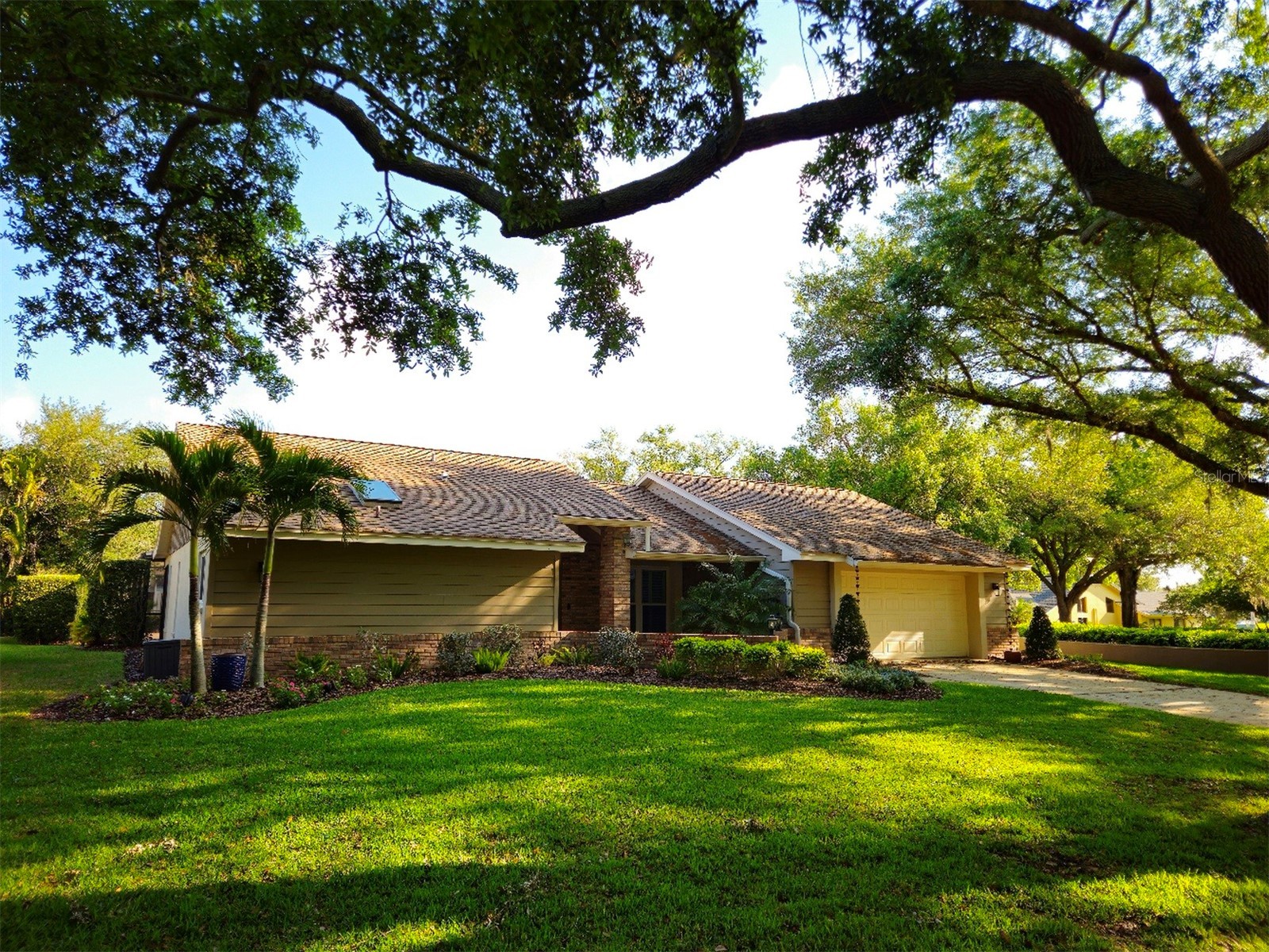 3393 Shoreline Drive Palm Harbor FL 34684 TB8490135 image1