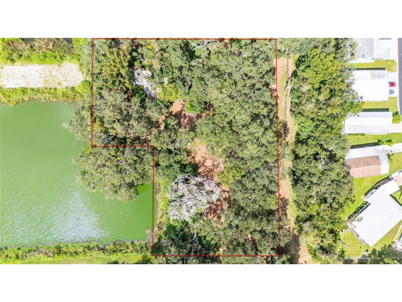 33933 Brumwell Drive Wesley Chapel FL 33543 TB8434057 image1