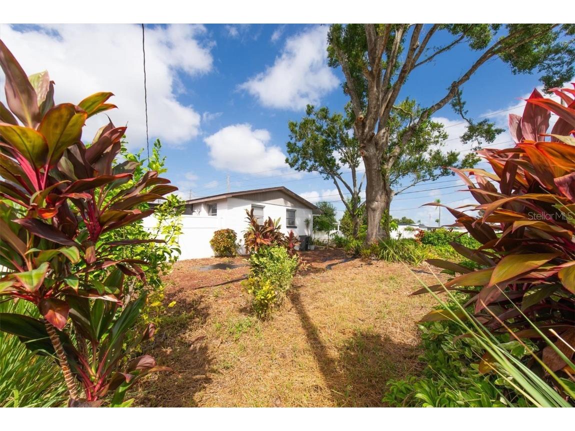 3394 74th Avenue N Saint Petersburg FL 33702 TB8436499 image34