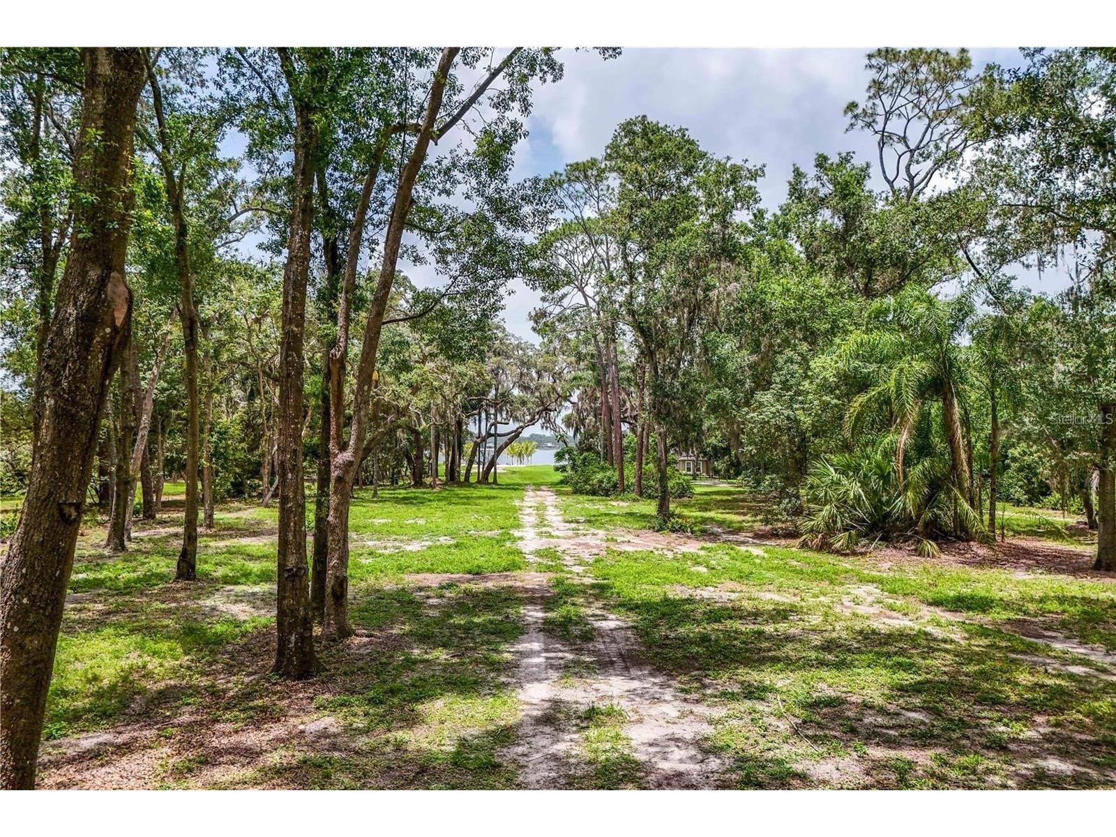 33943 E Lake Joanna Drive Eustis FL 32736 - LAKE JOANNA G5104960 image13
