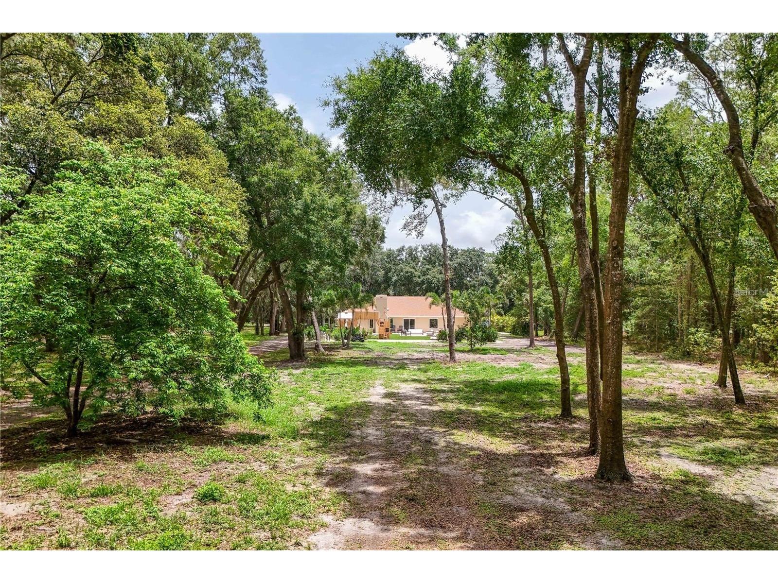 33943 E Lake Joanna Drive Eustis FL 32736 - LAKE JOANNA G5104960 image14