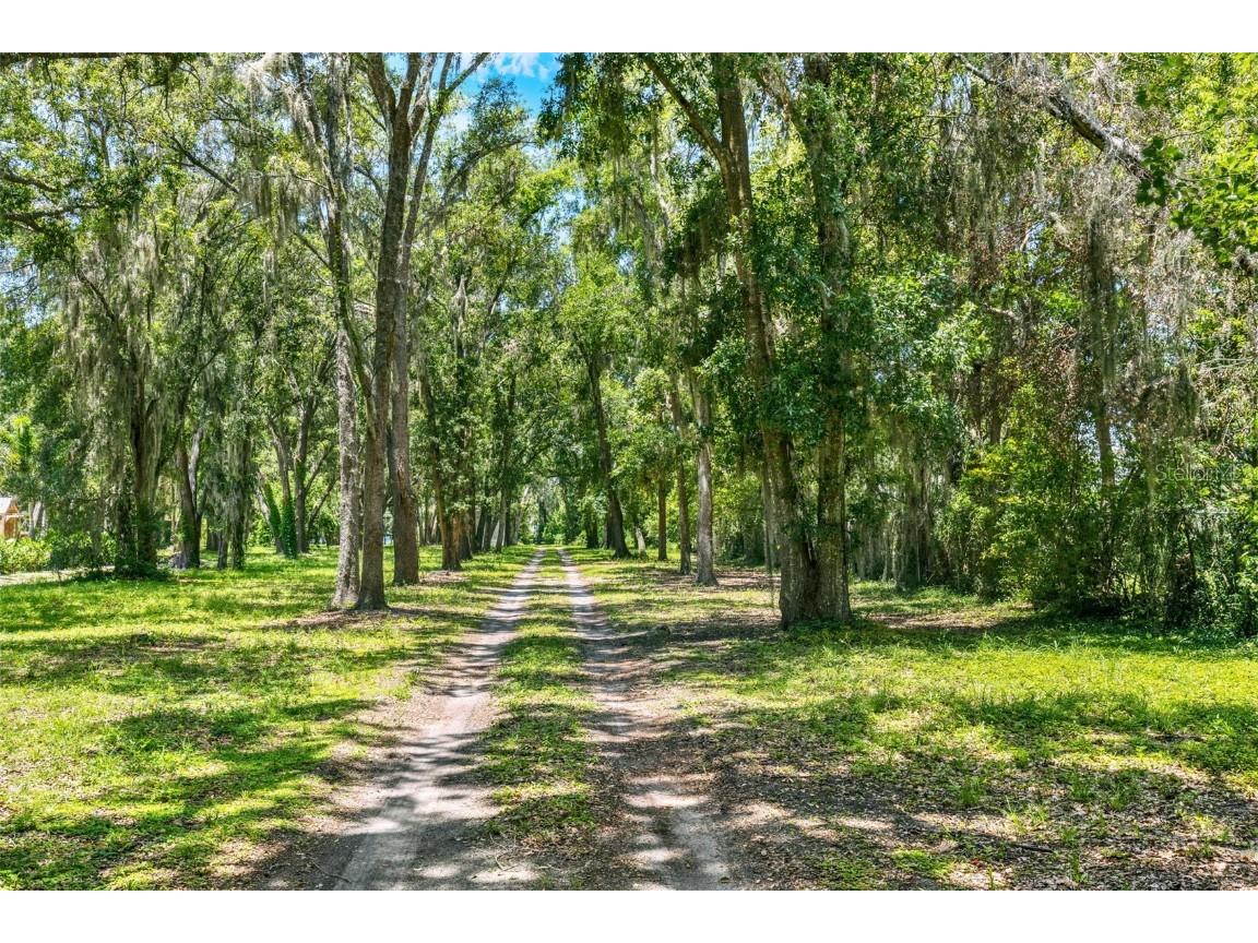 33947 E Lake Joanna Drive Eustis FL 32736 - LAKE JOANNA O6324806 image60