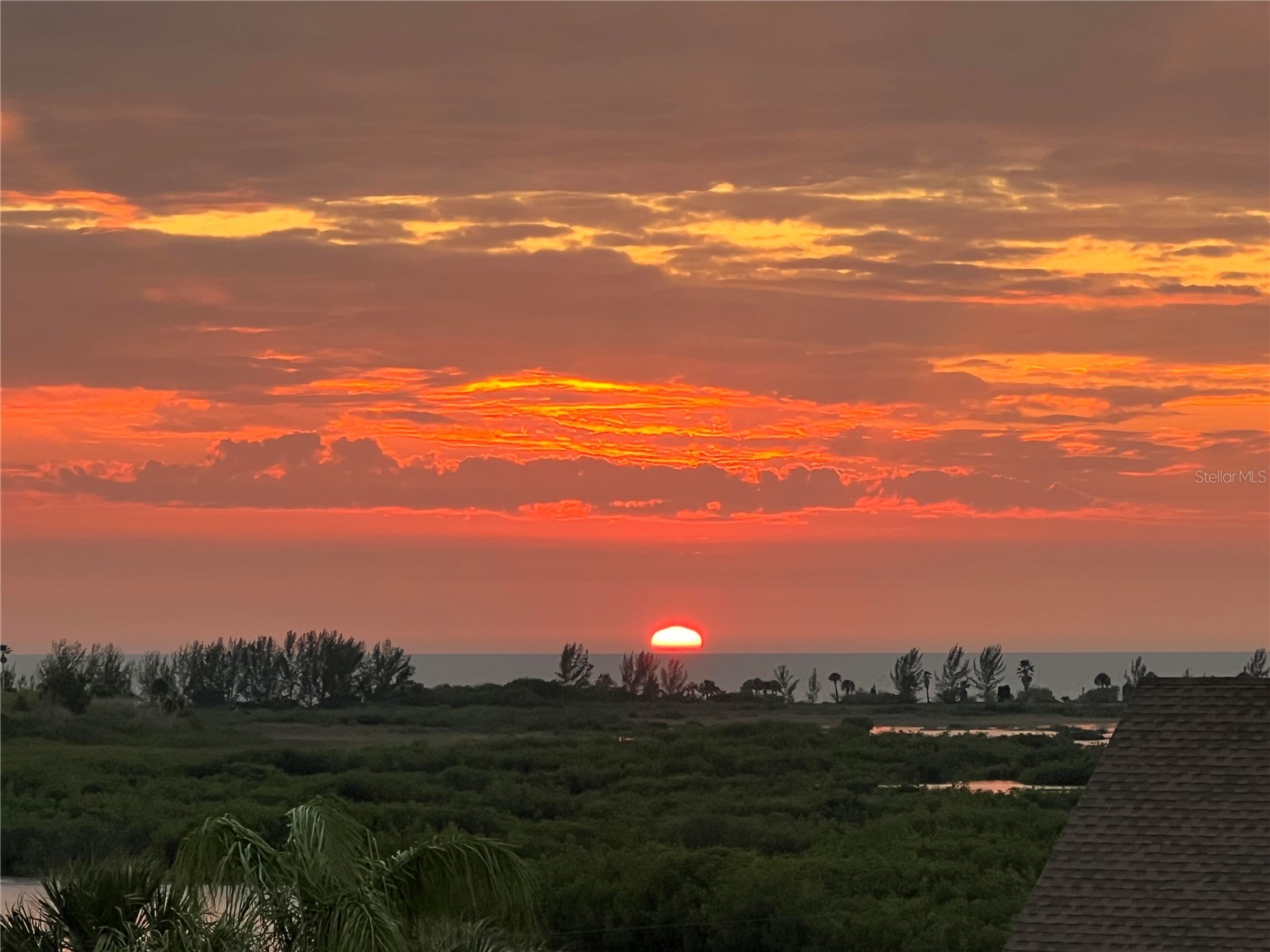 3395 Eagle Nest Drive Hernando Beach FL 34607 TB8472970 image52