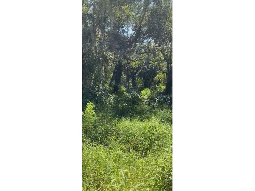 3395 N Nursery Road Zolfo Springs FL 33890 P4927665 image1
