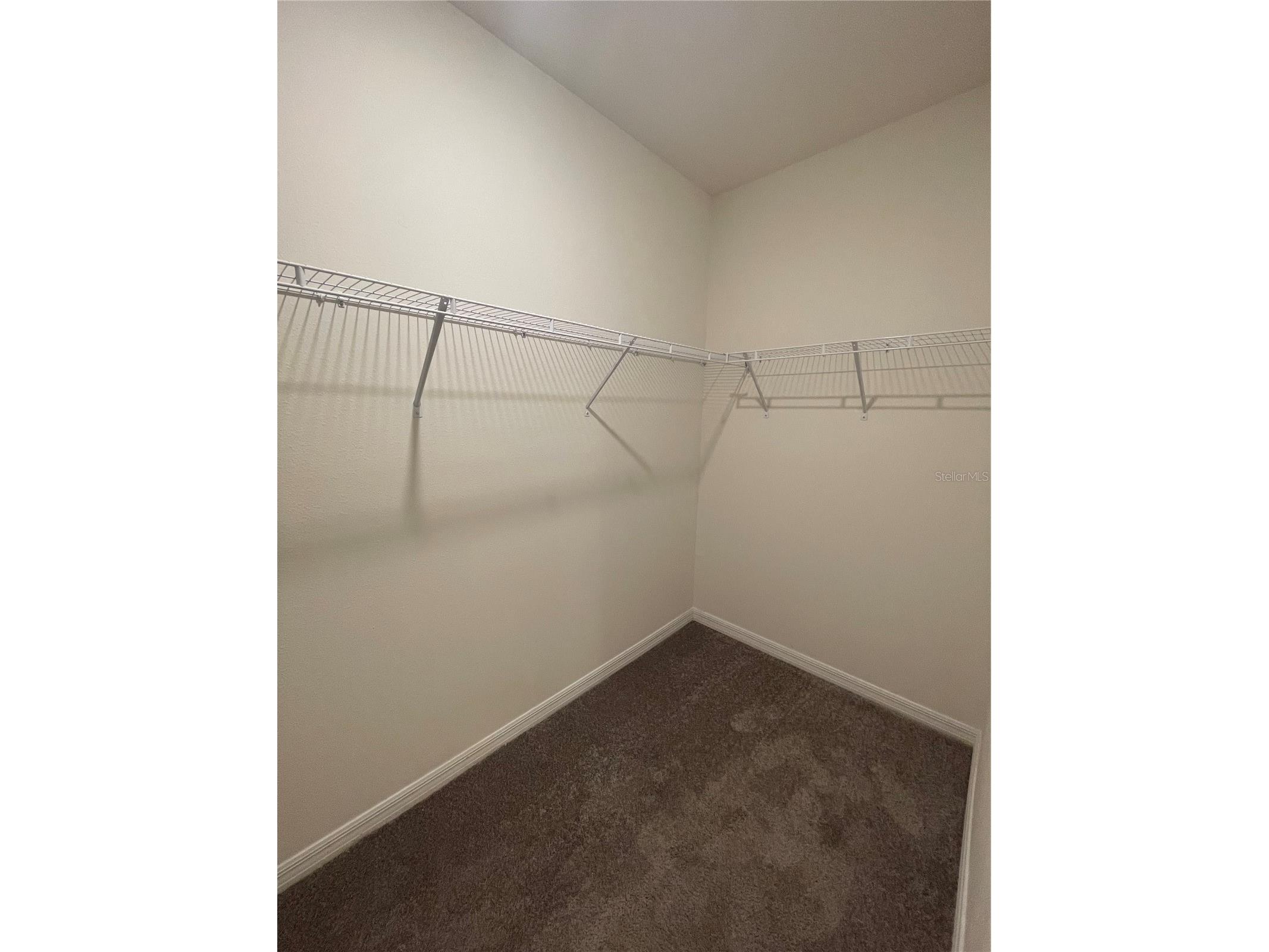 33952 Jasper Stone Drive Wesley Chapel FL 33543 TB8519948 image5