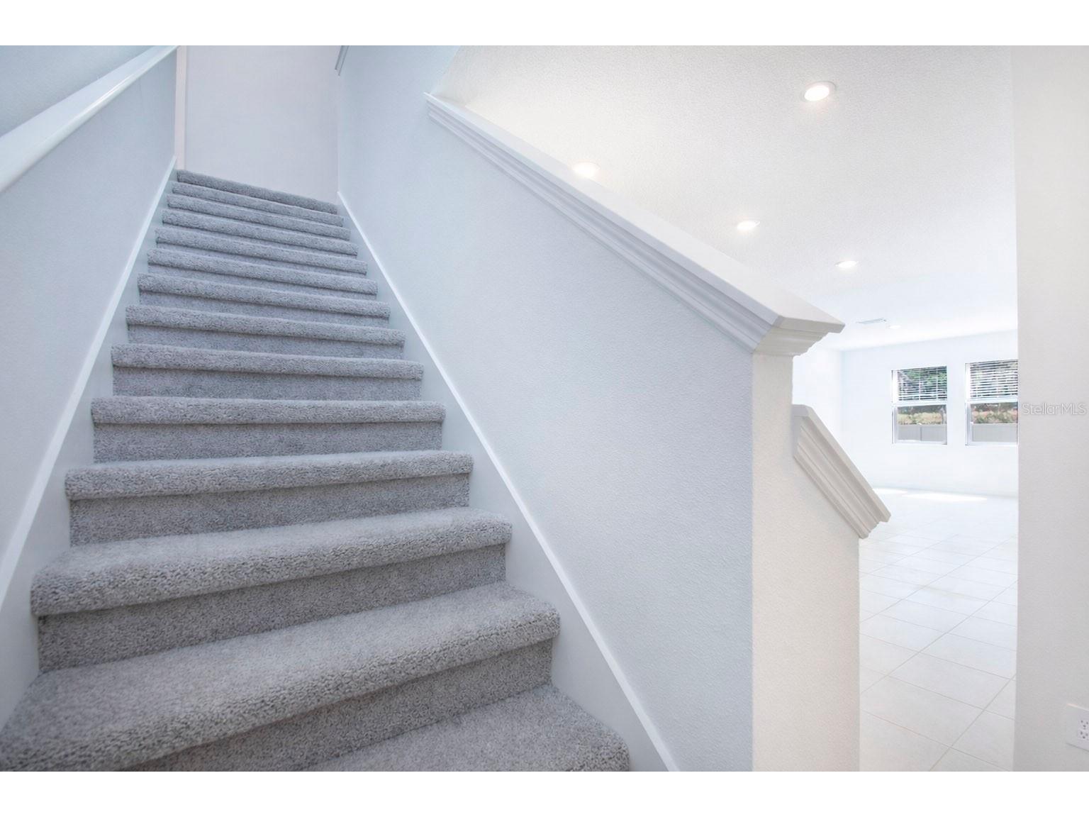 3396 Lapis Lake Drive Zephyrhills FL 33541 TB8493989 image17