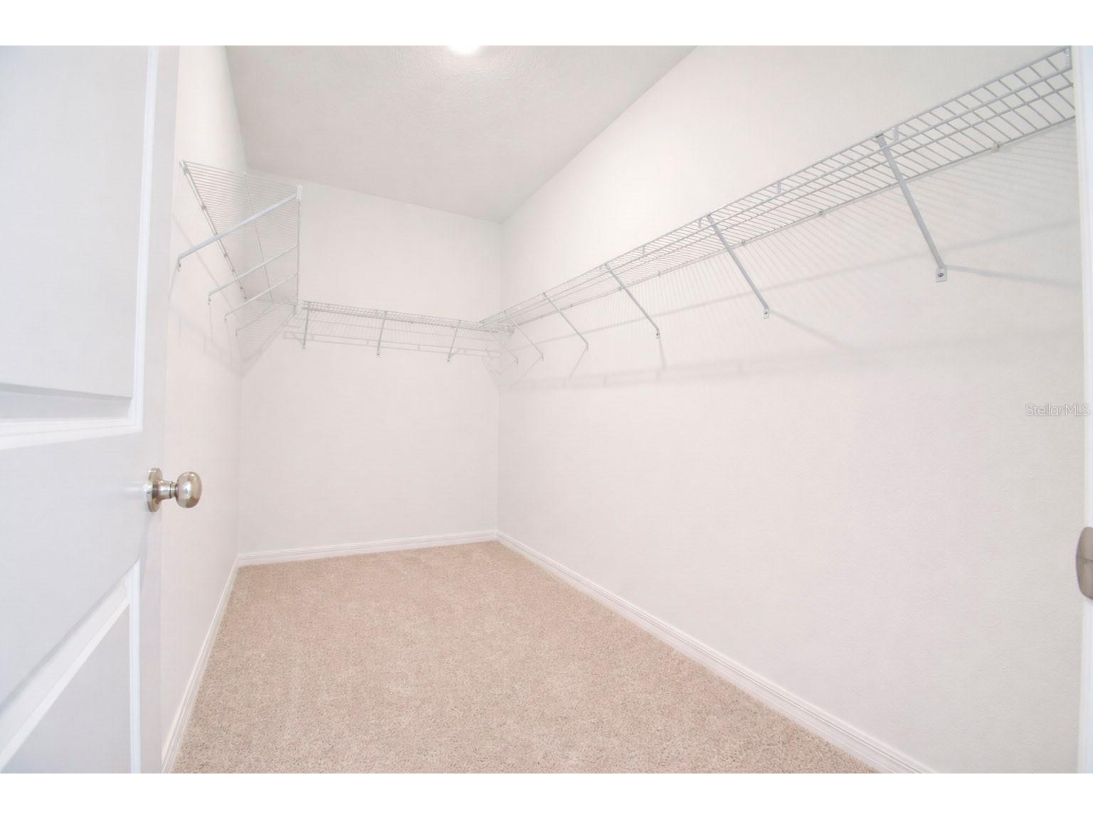 3396 Lapis Lake Drive Zephyrhills FL 33541 TB8493989 image25