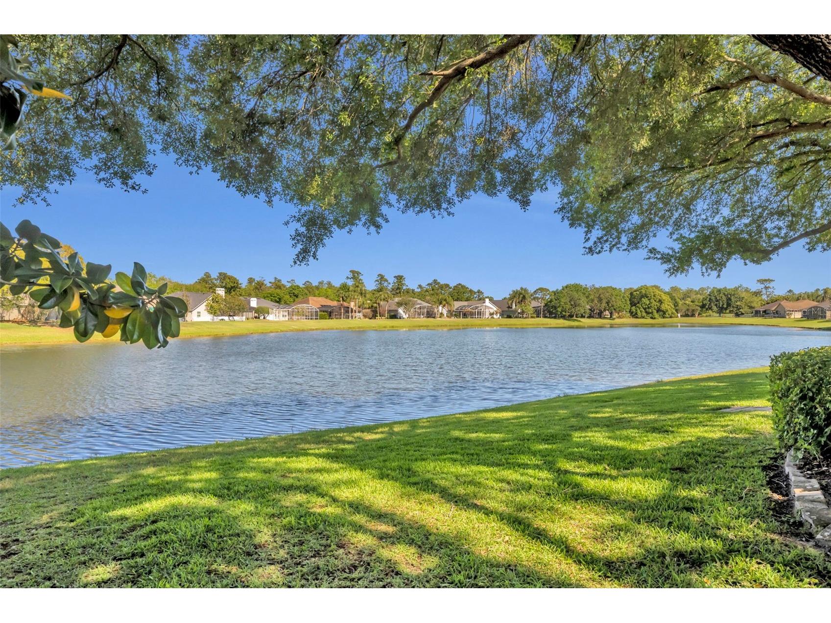 3397 Sterling Lake Circle Oviedo FL 32765 O6399730 image3
