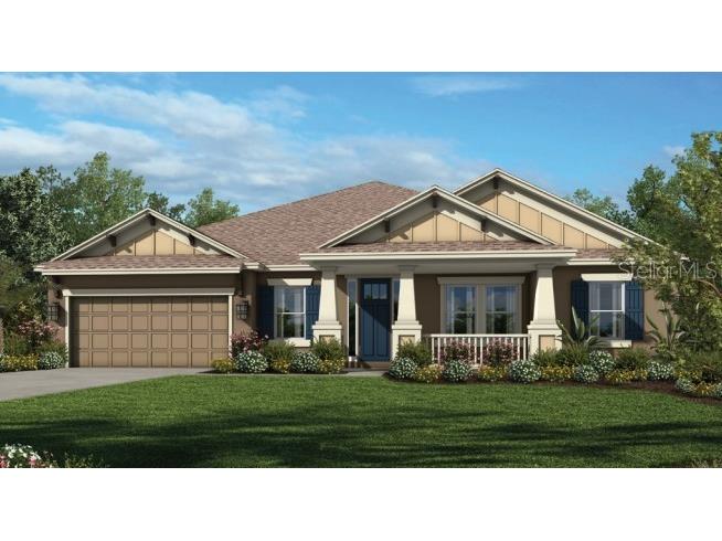 33971 Castaway Loop Wesley Chapel FL 33543 A4534484 image1