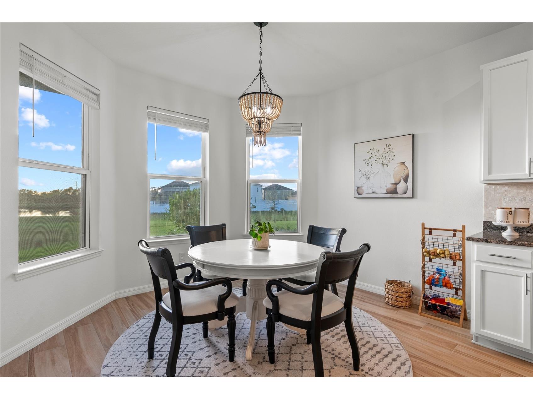 33975 Astoria Circle Wesley Chapel FL 33545 TB8482967 image14