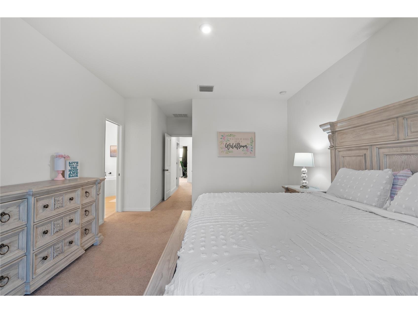33975 Astoria Circle Wesley Chapel FL 33545 TB8482967 image26