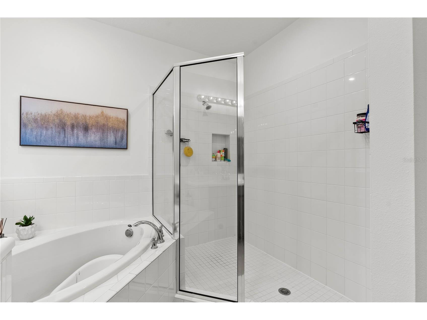 33975 Astoria Circle Wesley Chapel FL 33545 TB8482967 image28