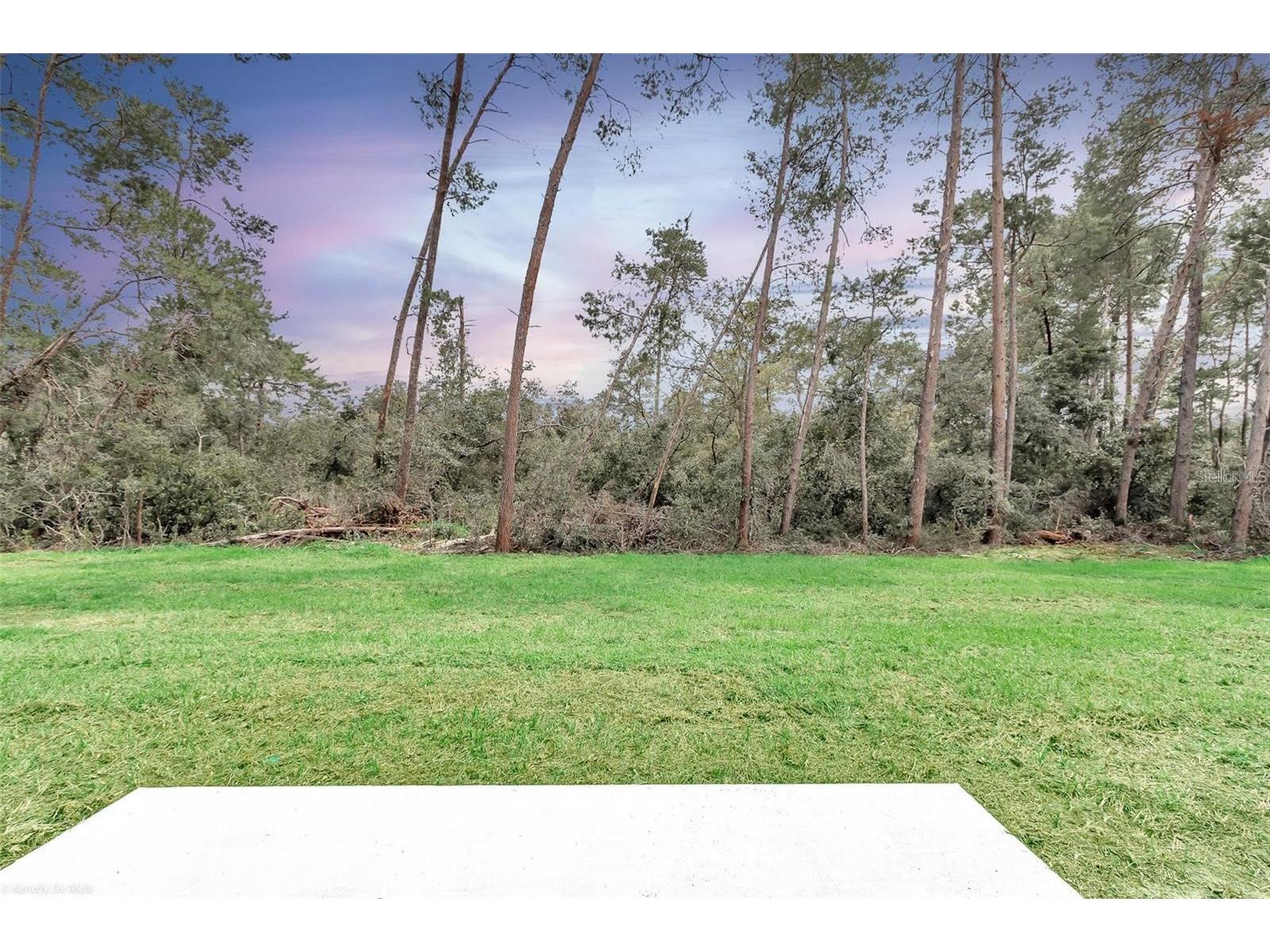 3398 SW 165th Loop Ocala FL 34473 TB8525653 image41