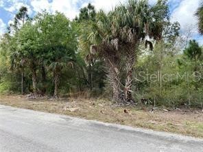 3399 Jewel Street Port Charlotte FL 33948 C7522346 image2