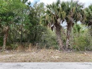 3399 Jewel Street Port Charlotte FL 33948 C7522346 image4