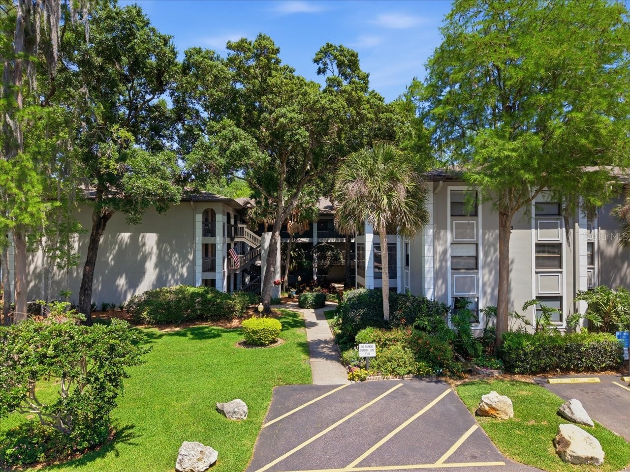 3399 Mermoor Drive #101 Palm Harbor FL 34685 TB8500467 image1