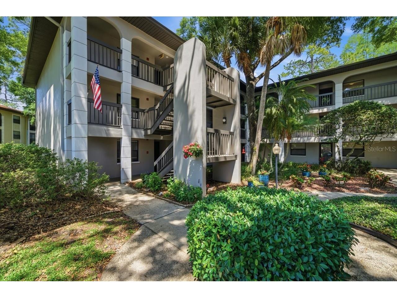3399 Mermoor Drive #101 Palm Harbor FL 34685 TB8500467 image2